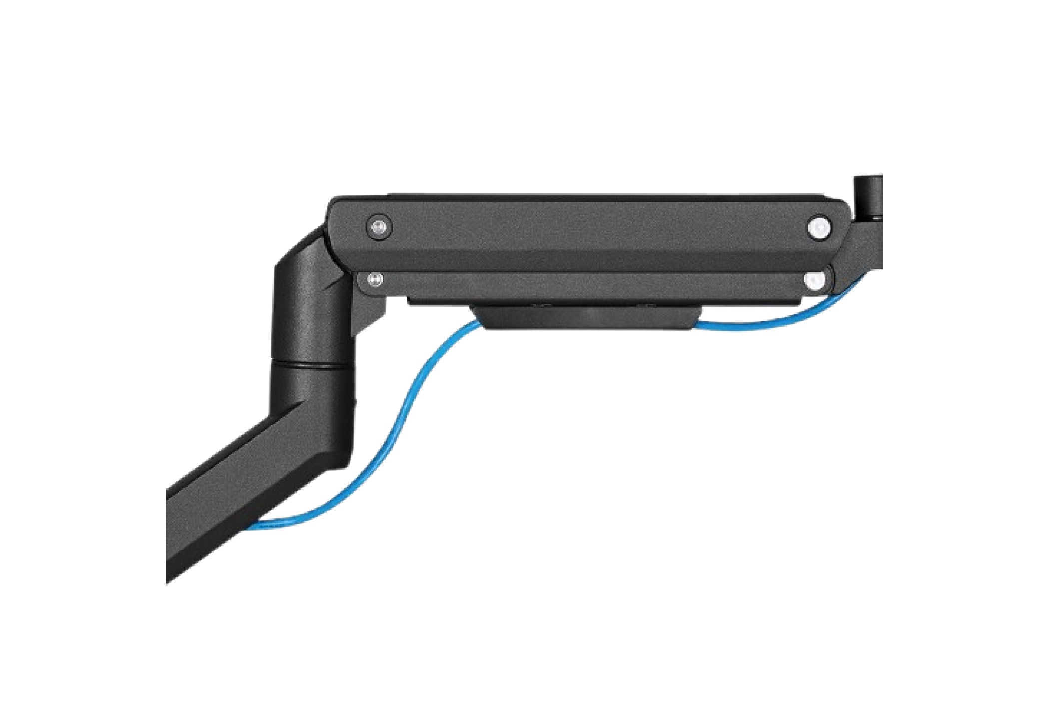 cable M.